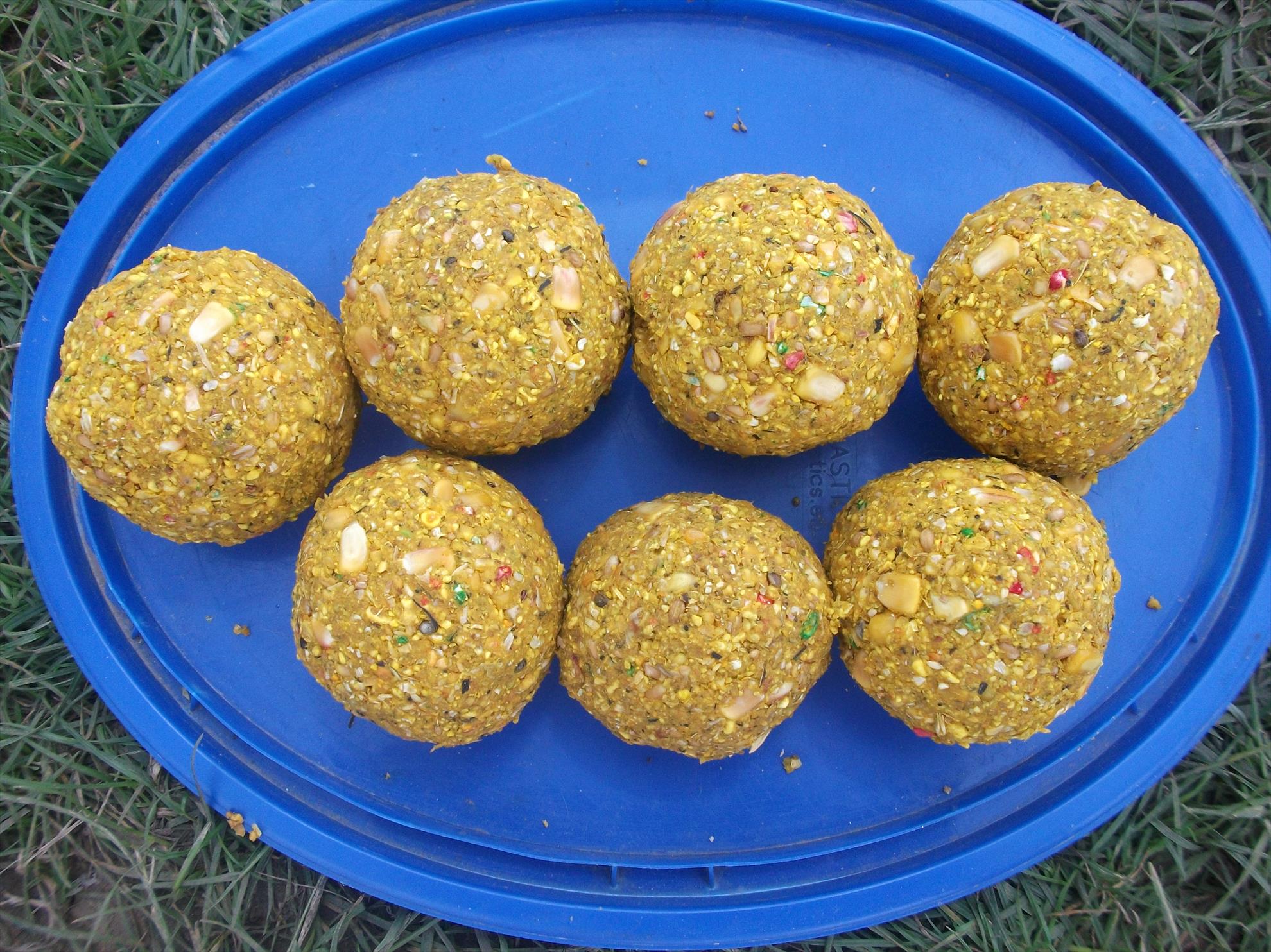 Walter - dscf0531.jpg